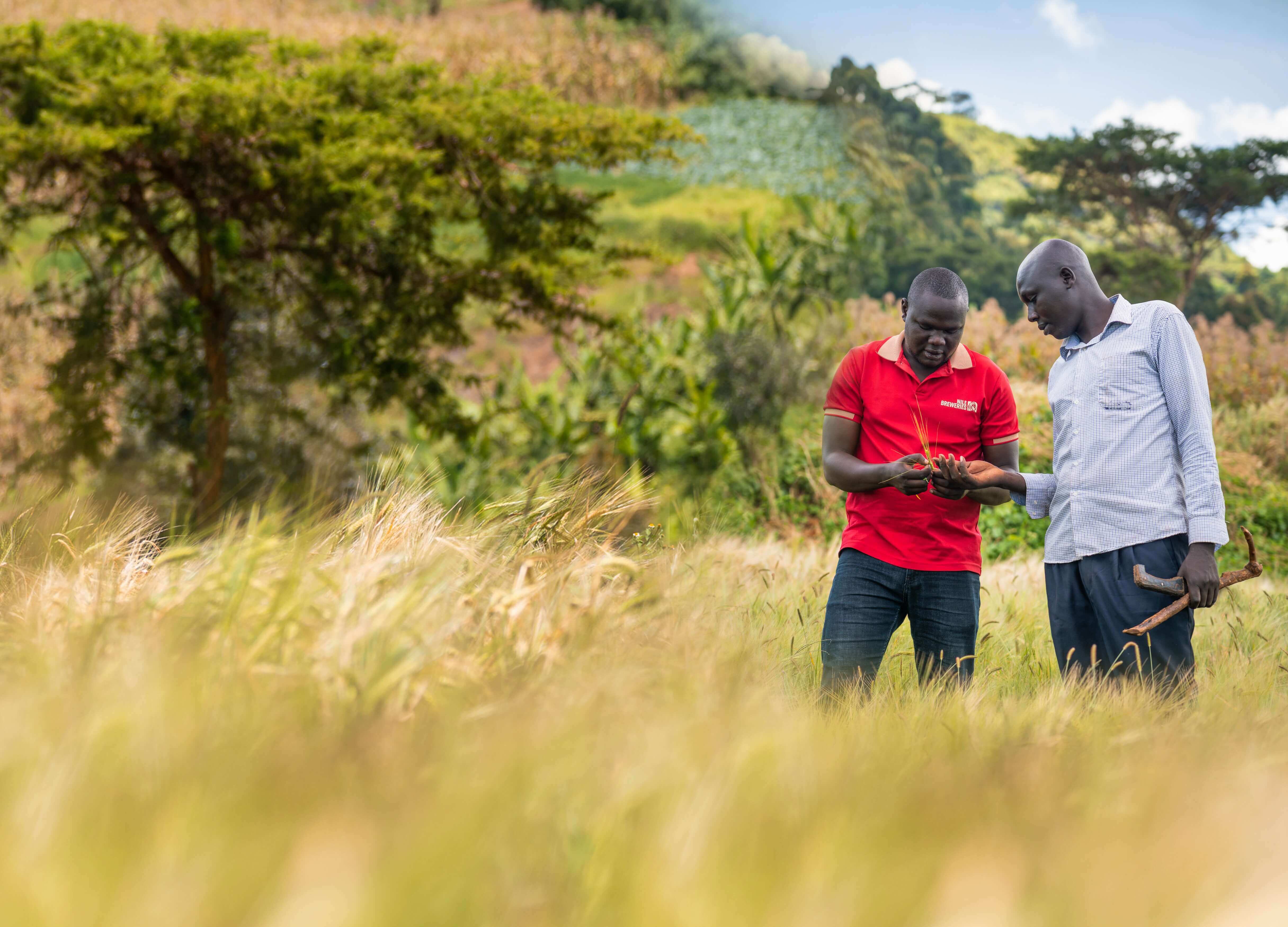 Onefarm men in the field