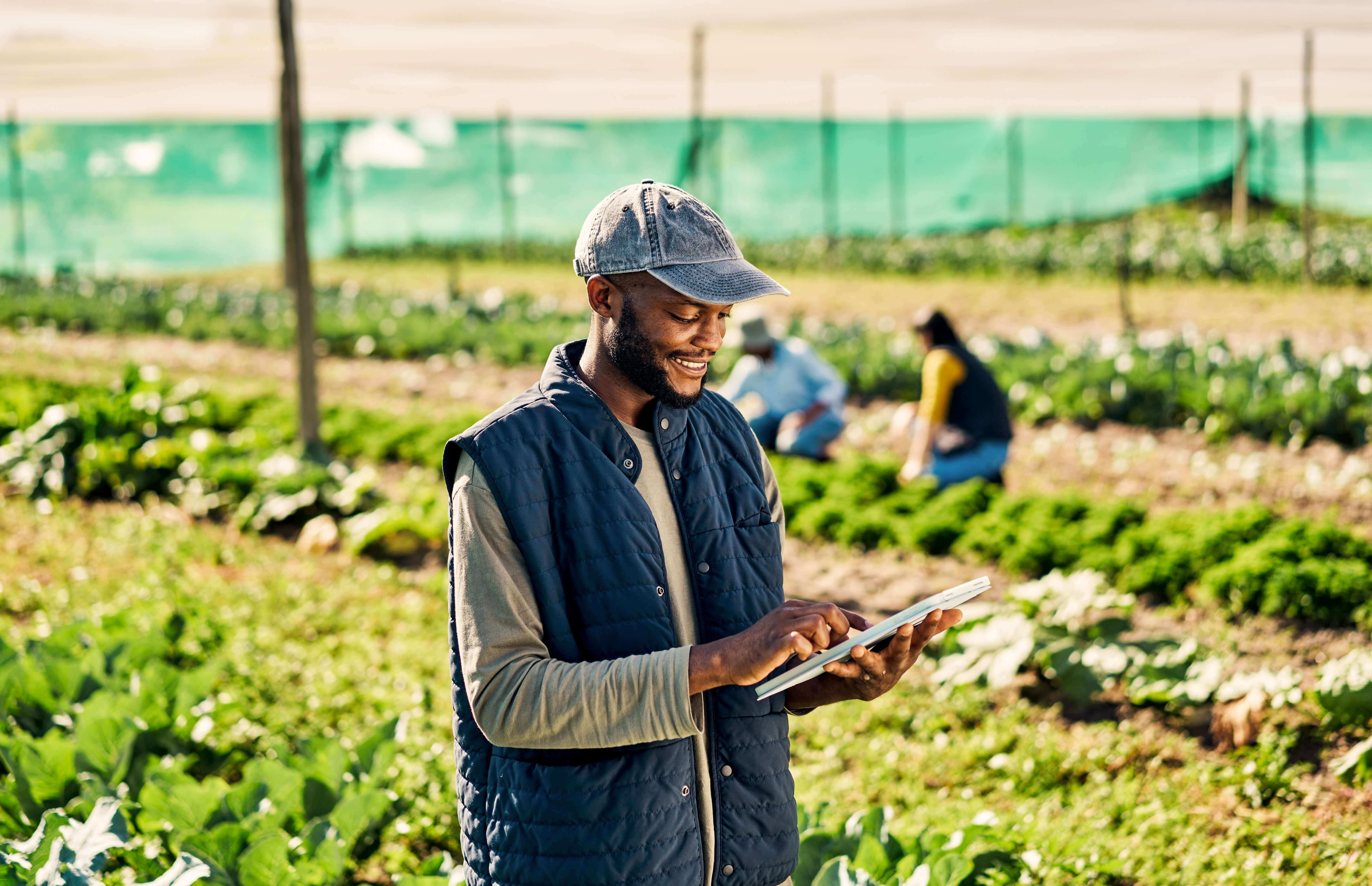 A person in the field