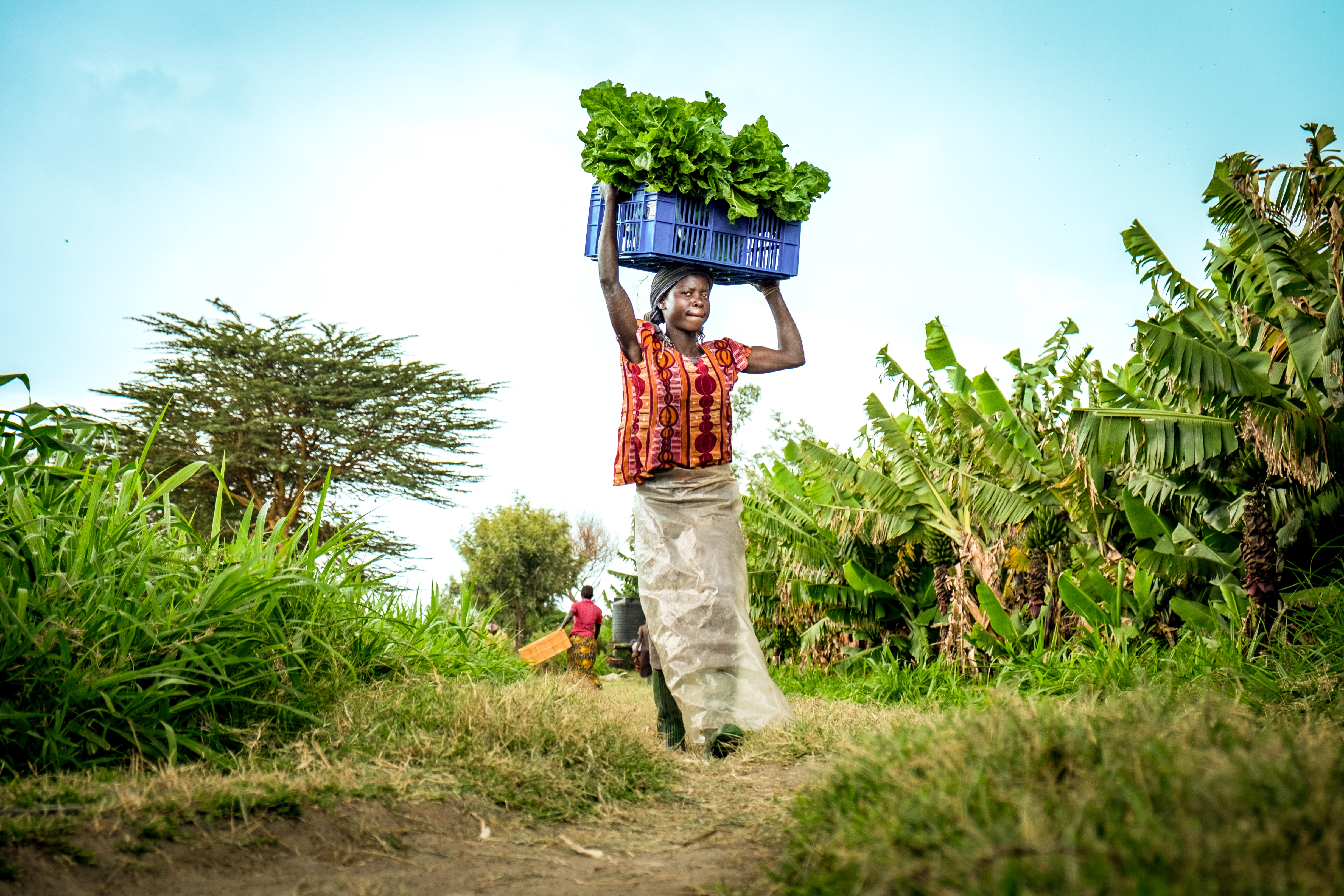 A woman in the field