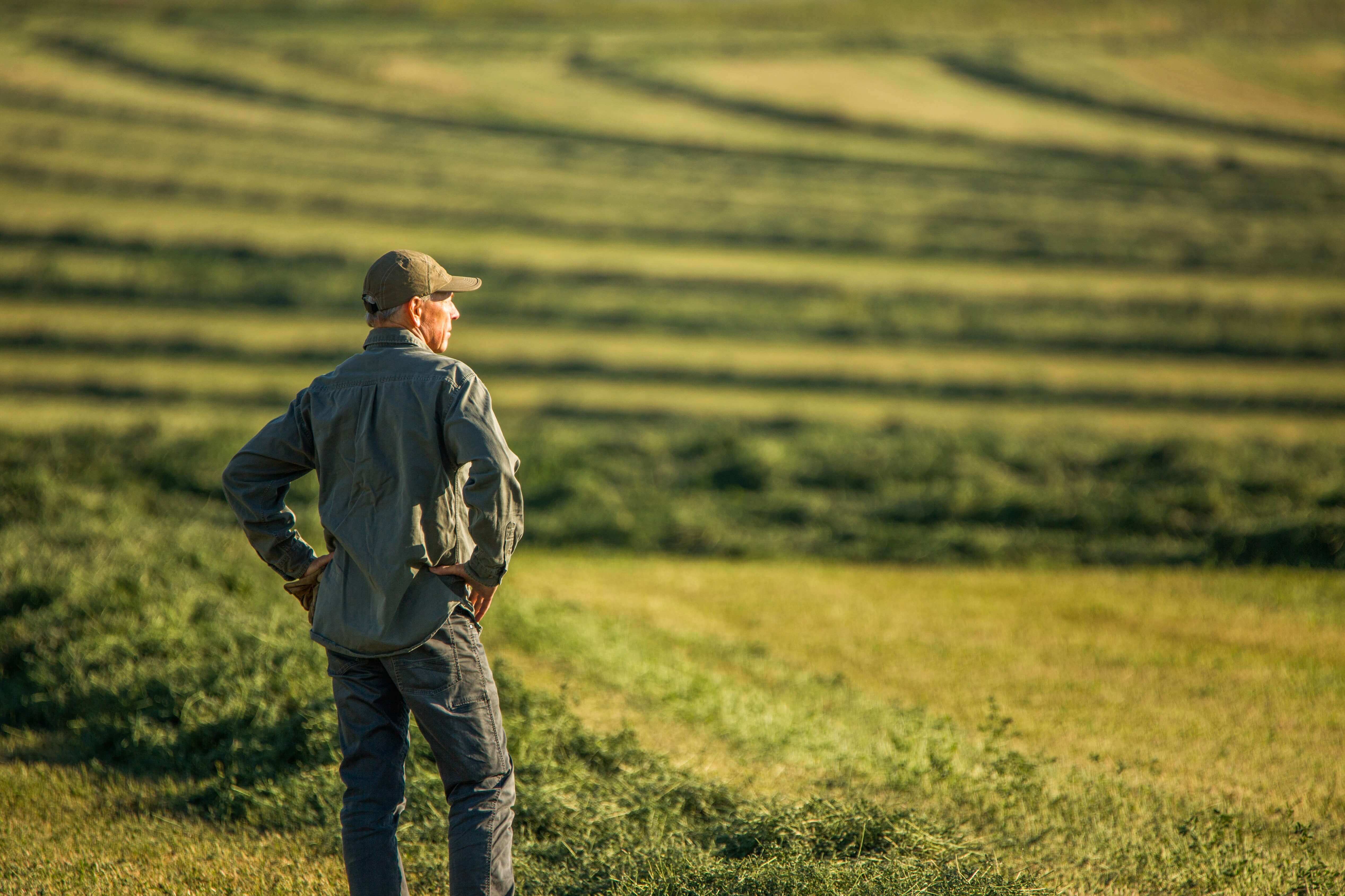 A person in the field