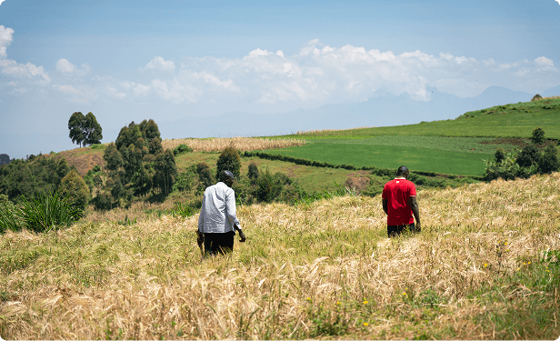 Simplify your farm operations