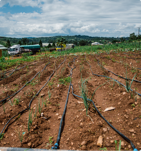 Farming Knowledge